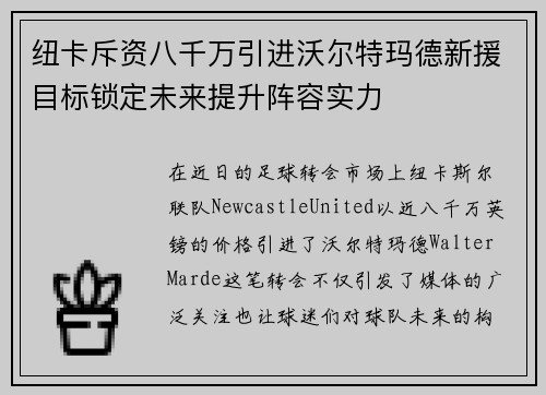纽卡斥资八千万引进沃尔特玛德新援目标锁定未来提升阵容实力